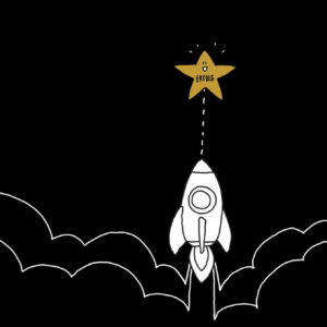 WordPress für Durchstarter - Anleitung zur Webherrschaft